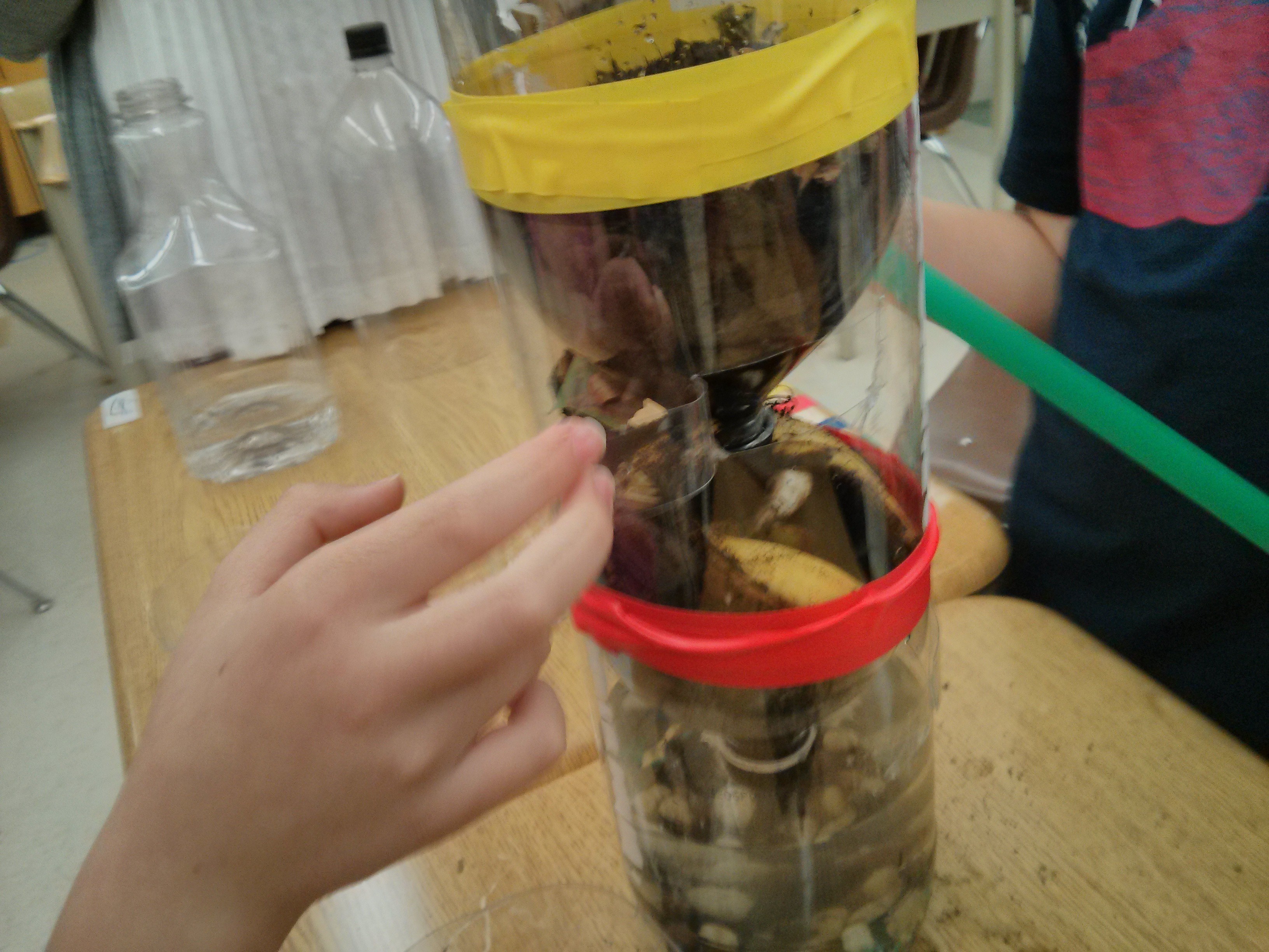 EcoColumns!!! Mrs. Dunford's Fabulous 4s