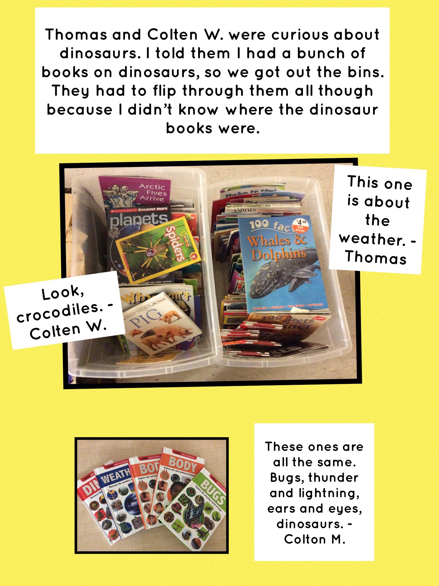 Building Our Classroom Library Grade 1 With Mrs Dale