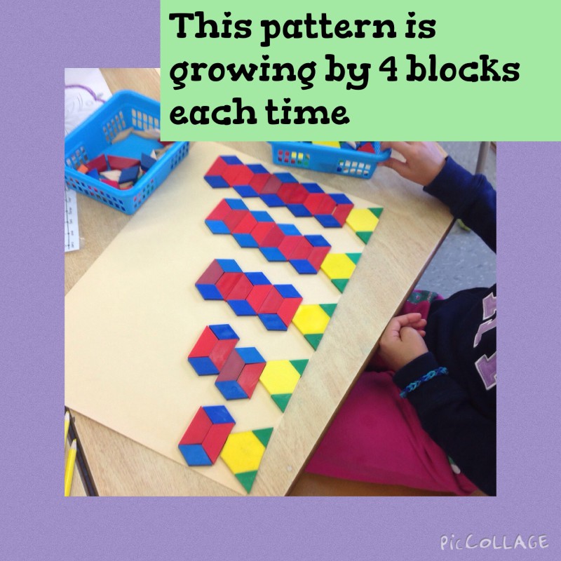 Growing Patterns | Mrs. Moulton's Class