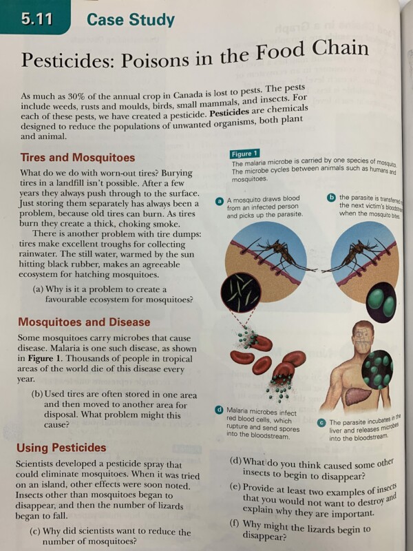 Steiner Grade 7A Homeroom » Science pesticides in the food chain