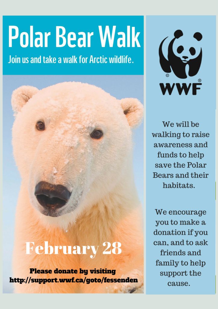 More information about Polar Bear Walk and donations Mlle Cugino Blog