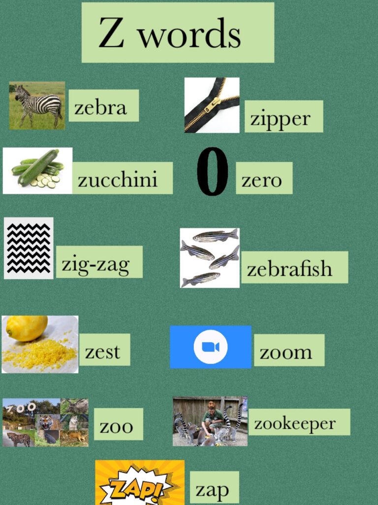 Our Learning Journey » Jolly Phonics “Zz”